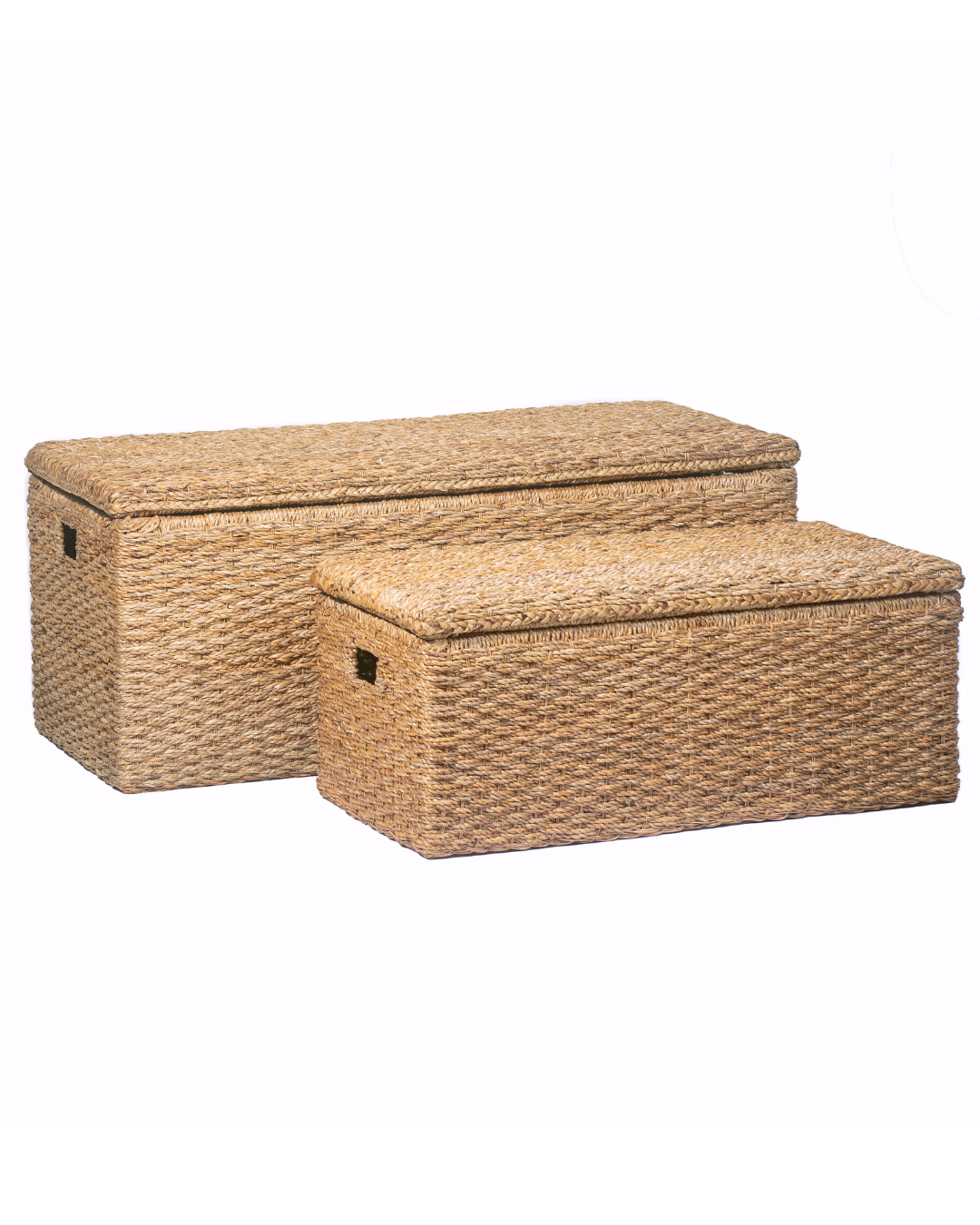 Wicker Storage Trunk Bench