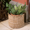 Round Wicker Storage Rattan Basket For Blankets, Toys, Towels, Laundry with Handles