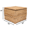 Square Wicker Ottoman Storage Chest Rattan Coffee Table